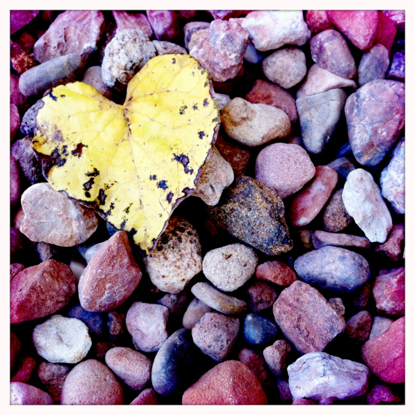 Hip 341256445.969208