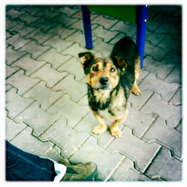 Hip 340968952.743851