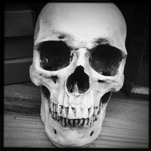 Hip 337968044.973107