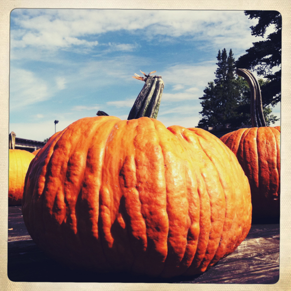 Hip 337962781.812637