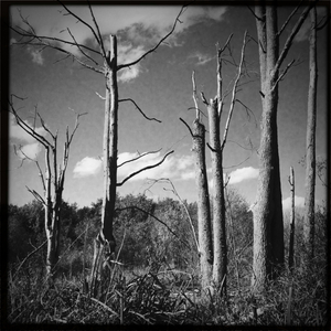 Hip 340831548.907902