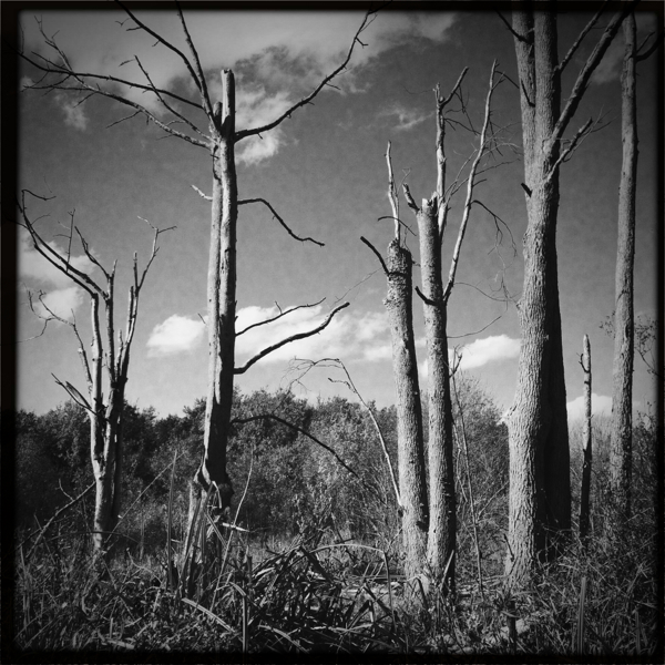 Hip 340831548.907902