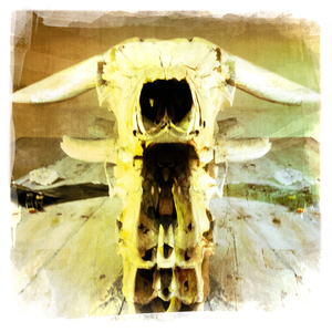 Hip 321463006.435705