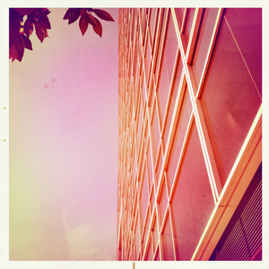 Hip 341264687.872298