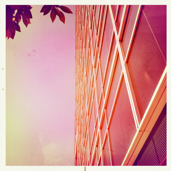 Hip 341264687.872298