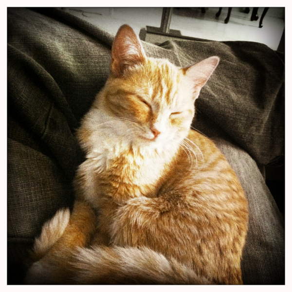 Hip 341264963.744620