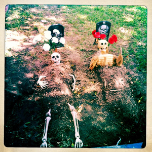 Hip 341265368.778006