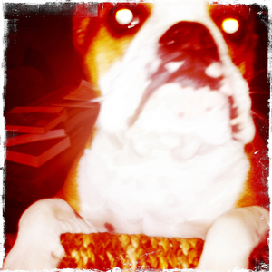 Hip 341265713.058775