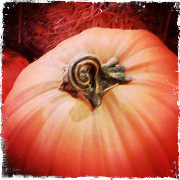 Hip 308455576.627784