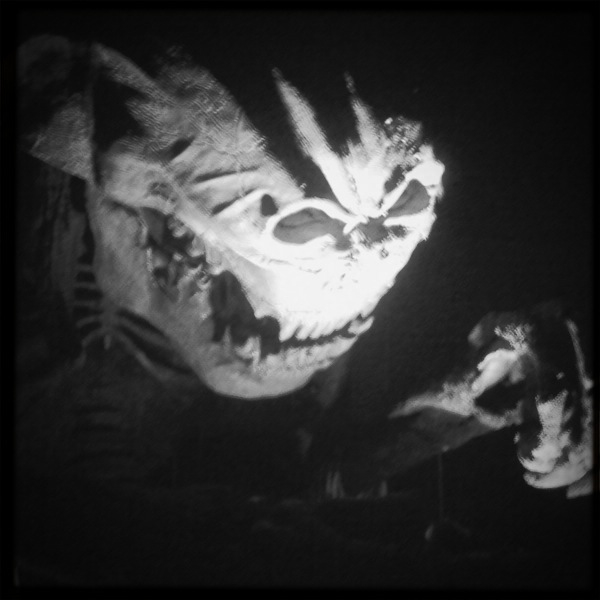 Hip 308462160.022788