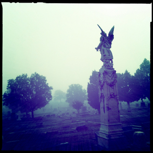 Hip 341161438.916015