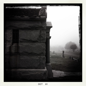 Hip 341162282.500000