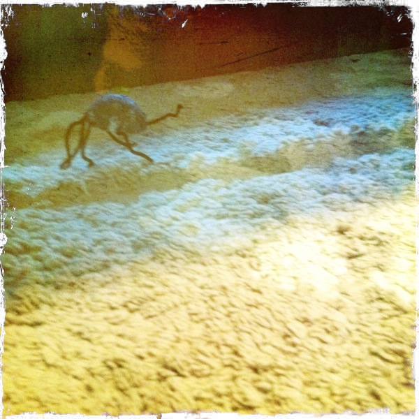 Hip 341098566.316245