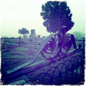 Hip 341162395.625692