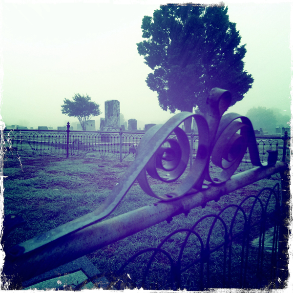 Hip 341162395.625692