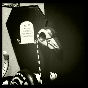 Hip 340674633.461978