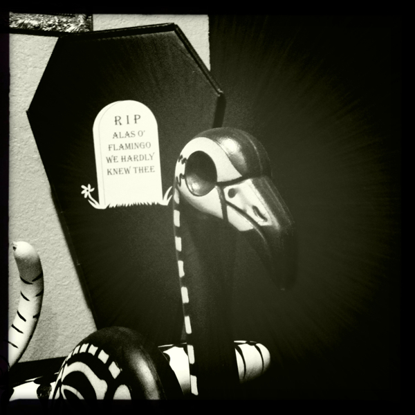 Hip 340674633.461978