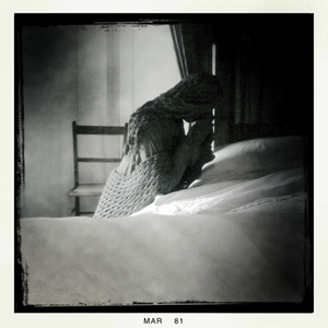 Hip 321034639.326713