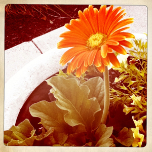 Hip 332379004.802861