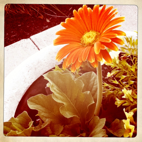 Hip 332379004.802861