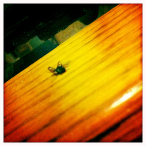 Hip 341085279.933661