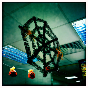 Hip 340976116.797114