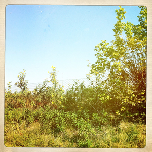 Hip 340975224.714891