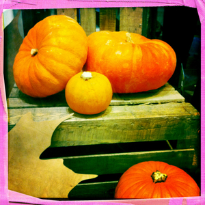 Hip 341263401.617715