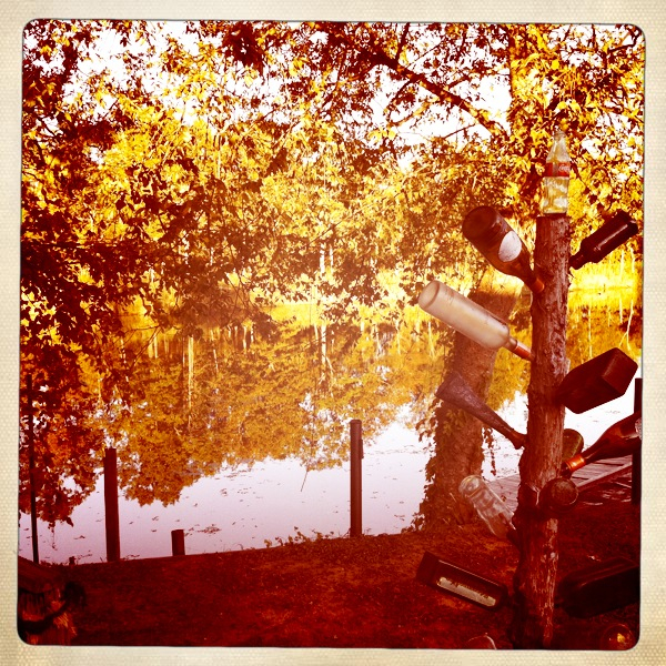 Hip 340497550.666758