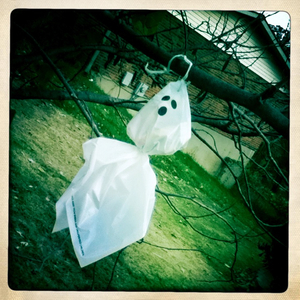 Hip 341274038.126235