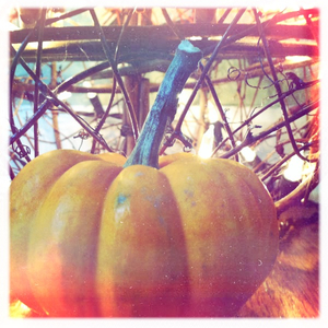 Hip 341266417.376950