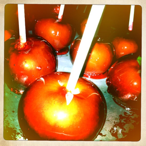 Hip 341282304.222574