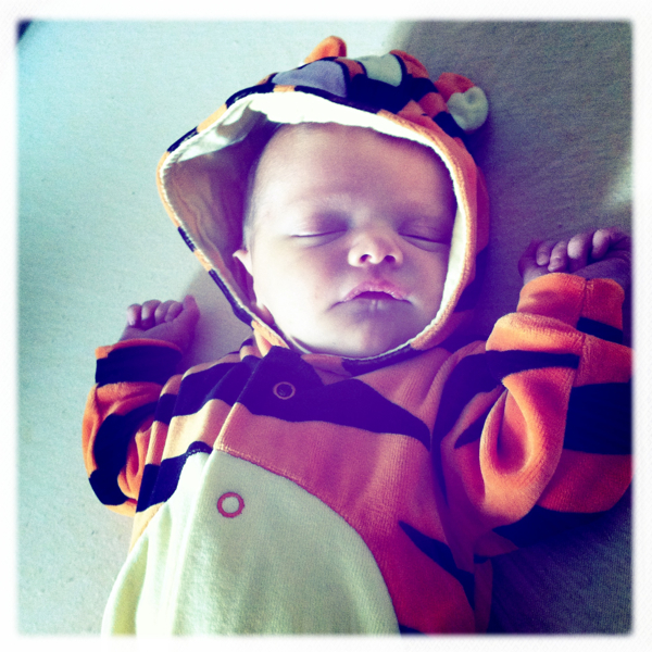 Hip 339254537.051029