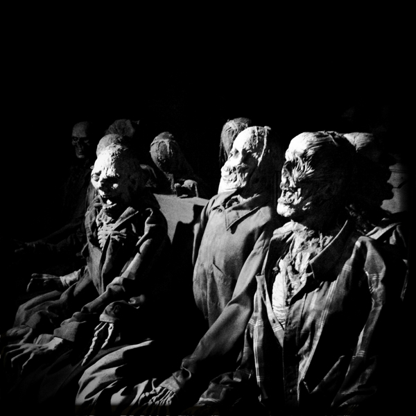 Hip 341040253.504749