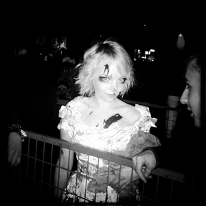 Hip 341037965.620116