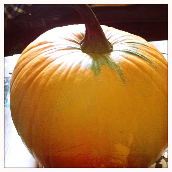 Hip 341008783.276846