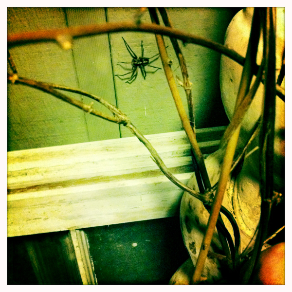 Hip 341284632.102886