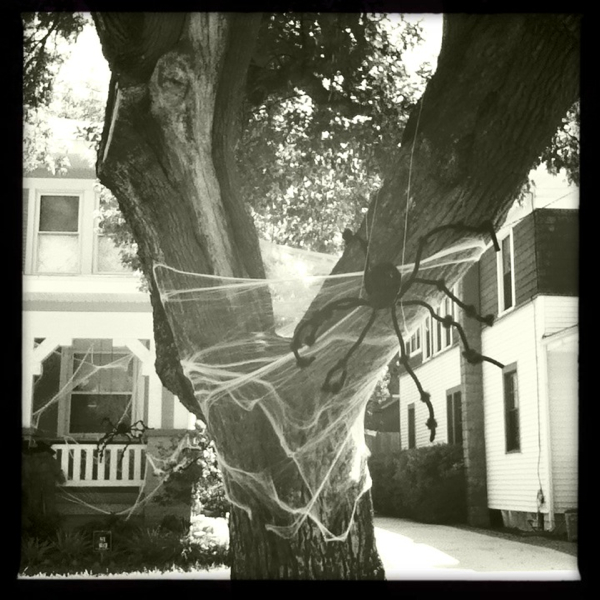 Hip 339440091.074862