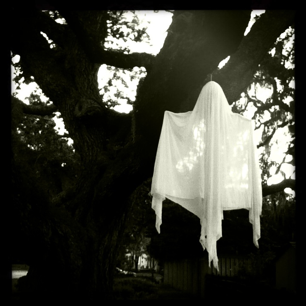 Hip 339288029.187670