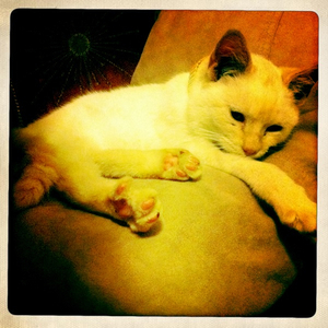 Hip 341287290.629277