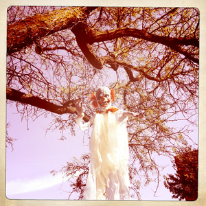 Hip 340998155.904533