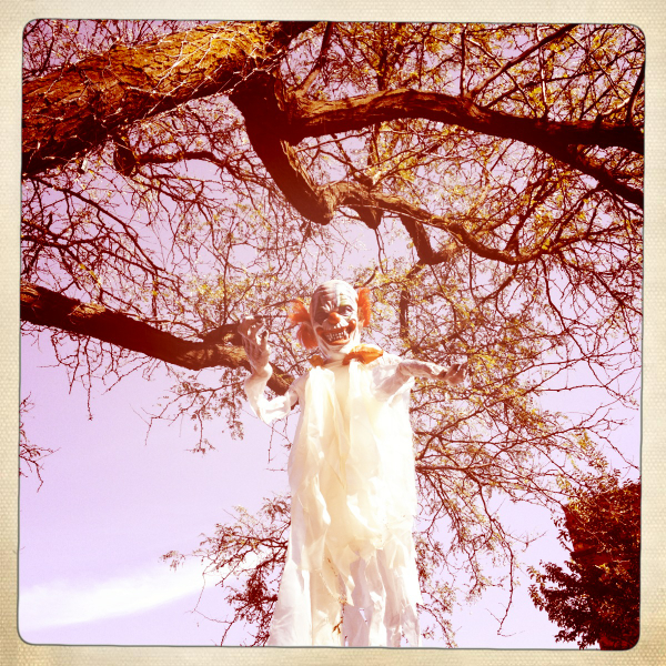 Hip 340998155.904533