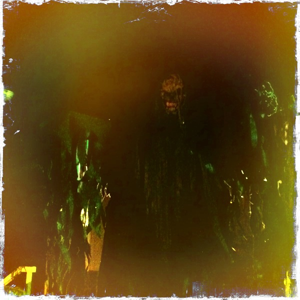 Hip 341288665.238725