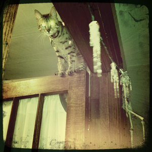 Hip 341263830.757048