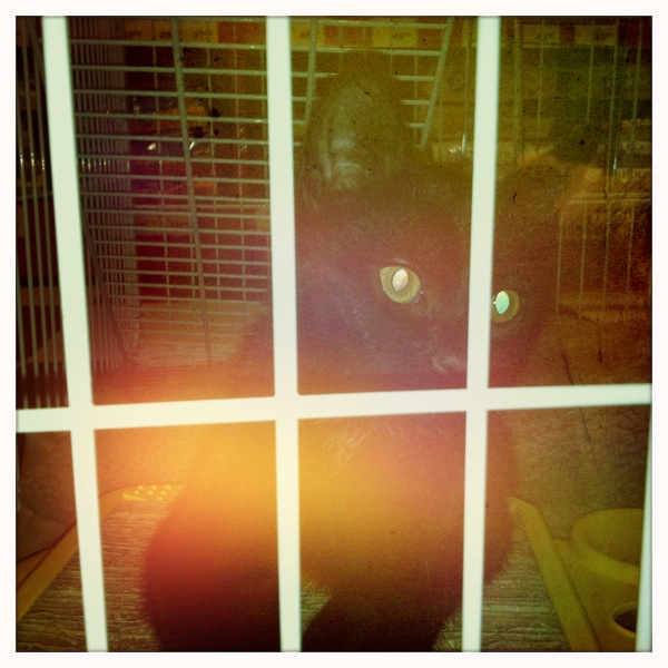 Hip 336859673.274065