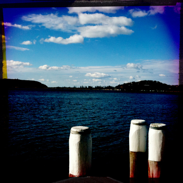 Hip 331615049.593401