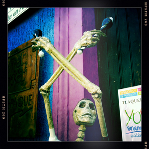 Hip 341086990.408066