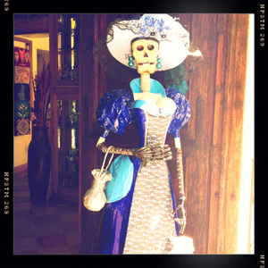 Hip 341078739.312741