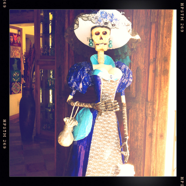 Hip 341078739.312741