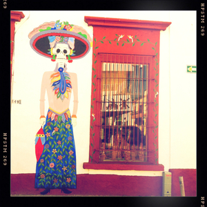 Hip 341079387.837572